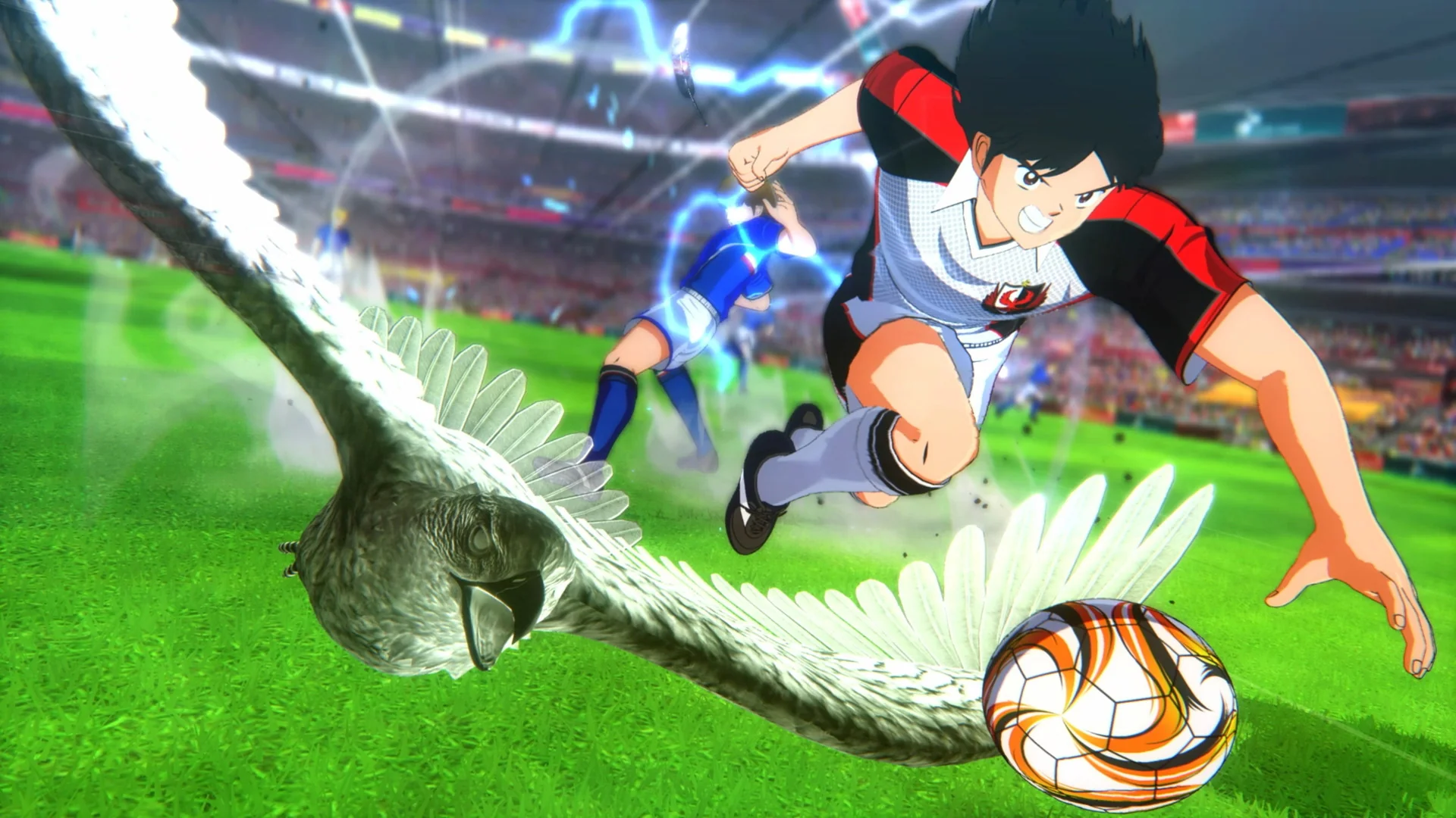 Imagem do produto 5
