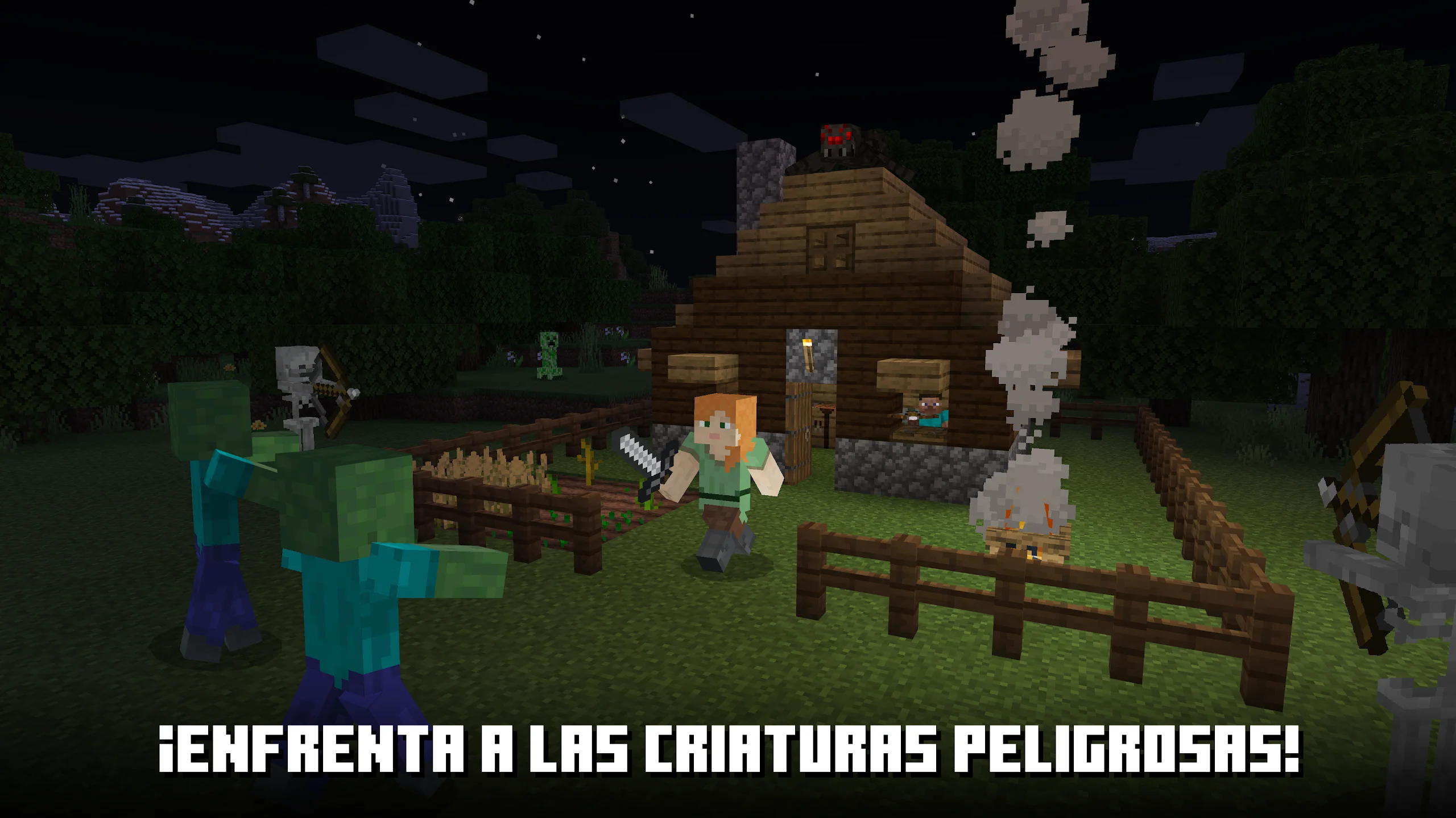 Imagem do produto 4