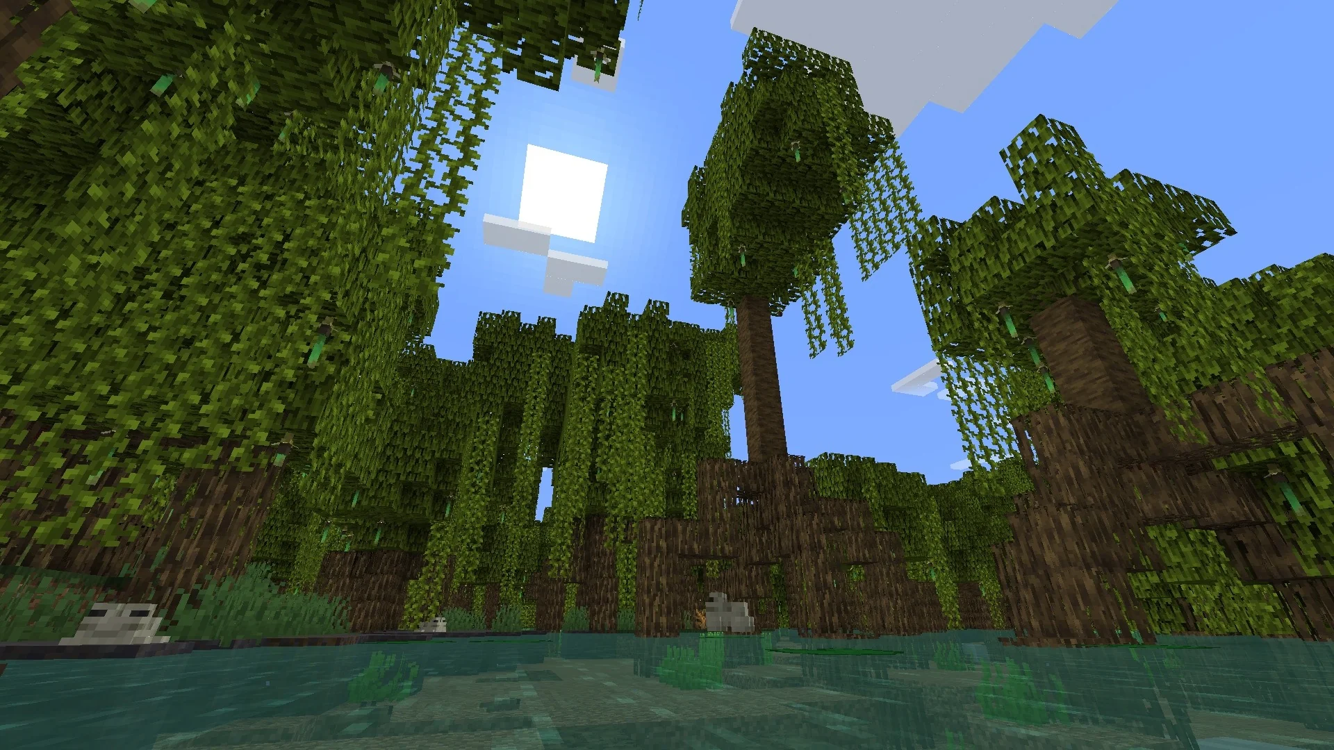 Imagem do produto 4